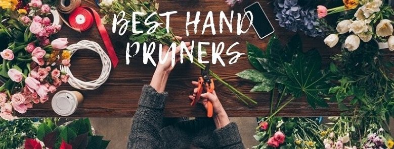 Best Hand Pruners in 2022 (Our Reviews & Comparisons)