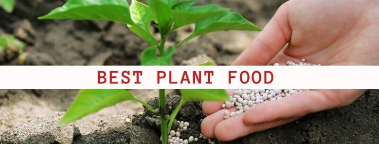 Best Plant Food in 2022 (Our Reviews & Comparisons)