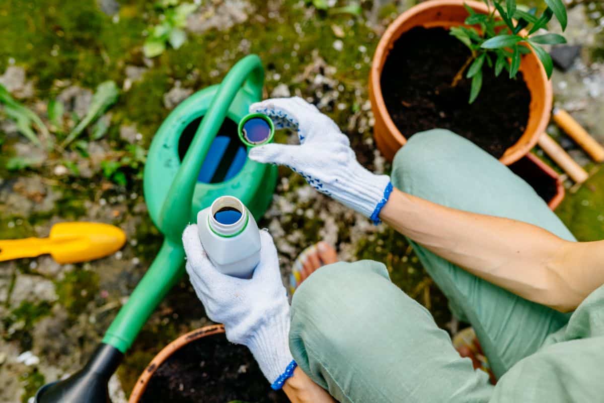 Woman holding a liquid fertilizer on a field.