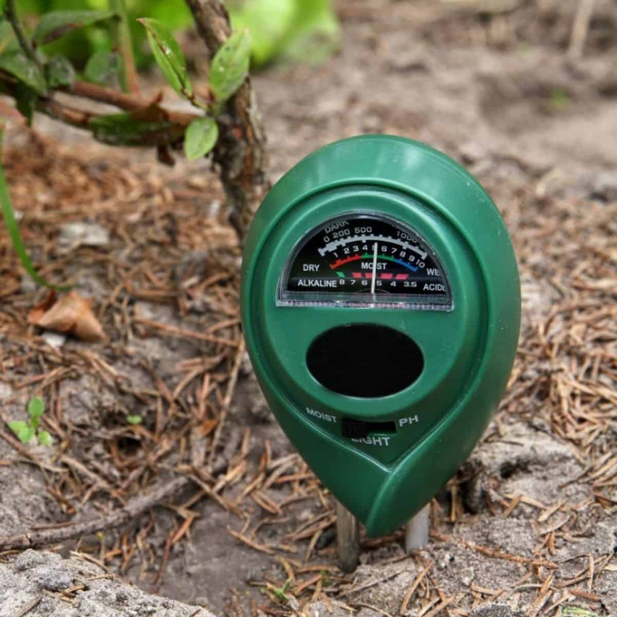 5 Best Soil Moisture Meters