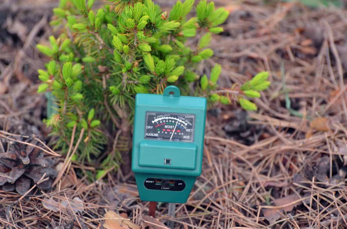 Green soil moisture meter in soil.