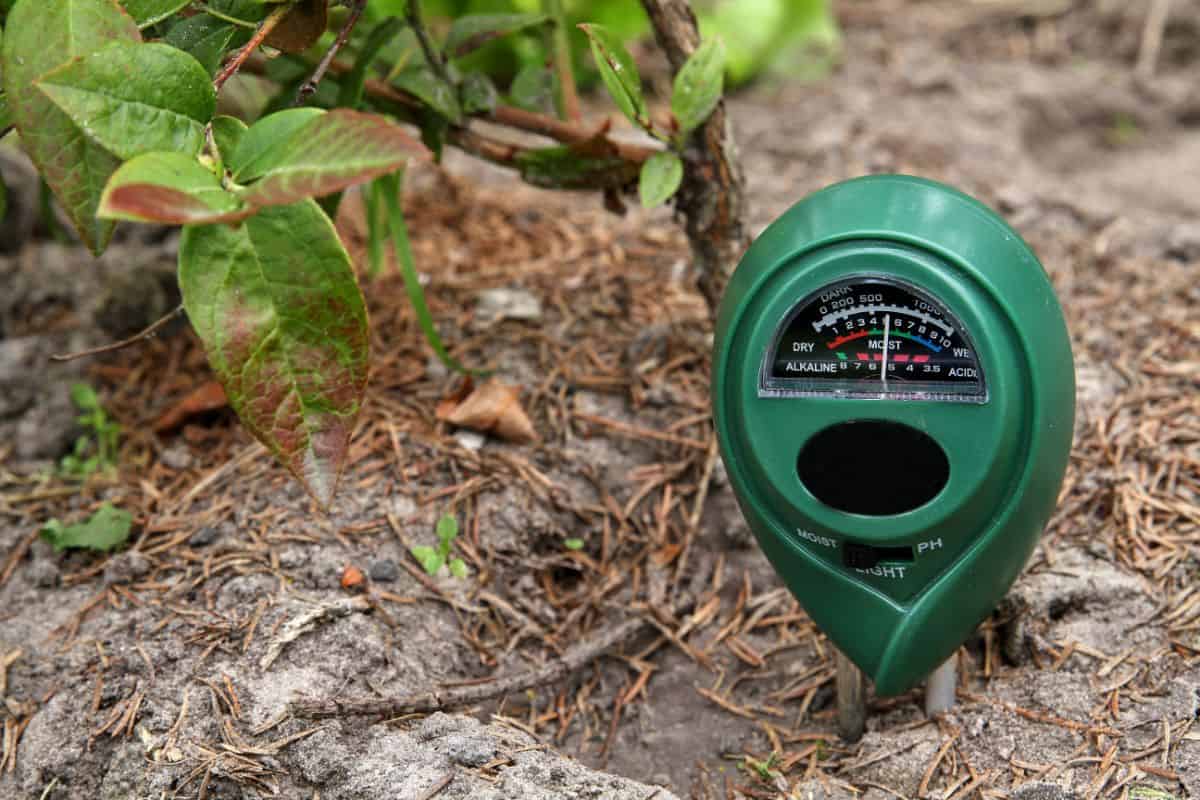 Green soil moisture meter in soil.