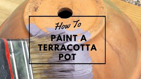 How to Paint a Terracotta Pot