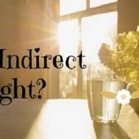 What is Indirect Sunlight