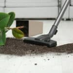 Vacuum spilled plant soil on the floor.