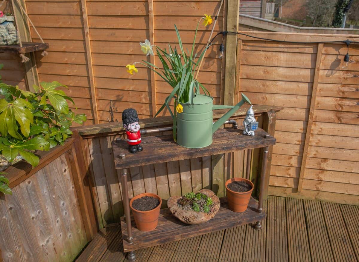 Old wooden shelf with pots, watering can and garden dwarf.