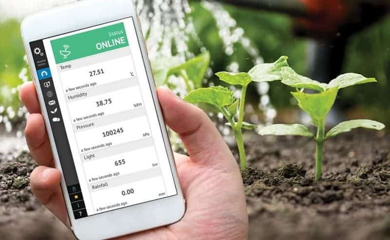 Hand holding a smartphone, plants in soil in the background.
