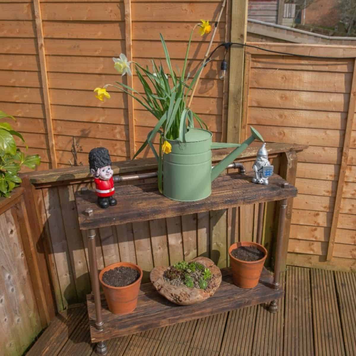 Old wooden shelf with pots, watering can and garden dwarf.