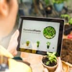 Man holding tablet, online succulent buying concept.