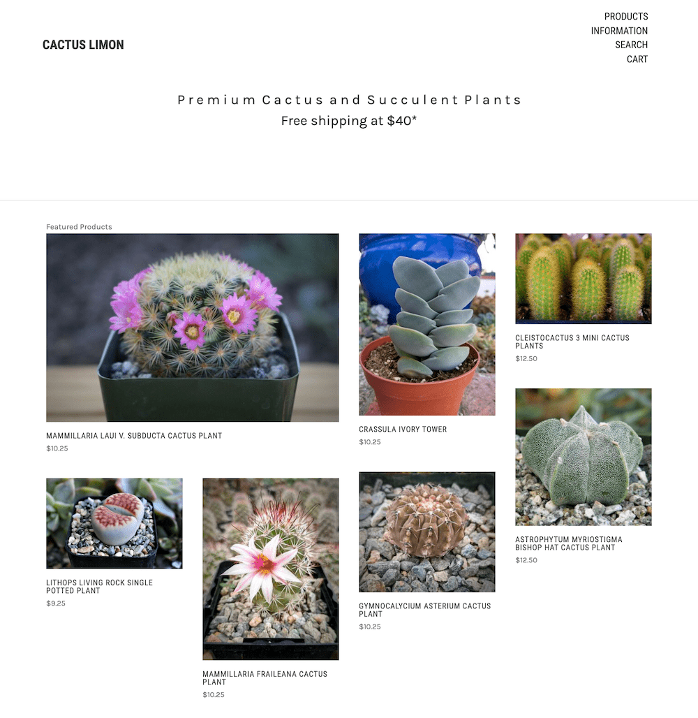 Cactus Limon online shop.