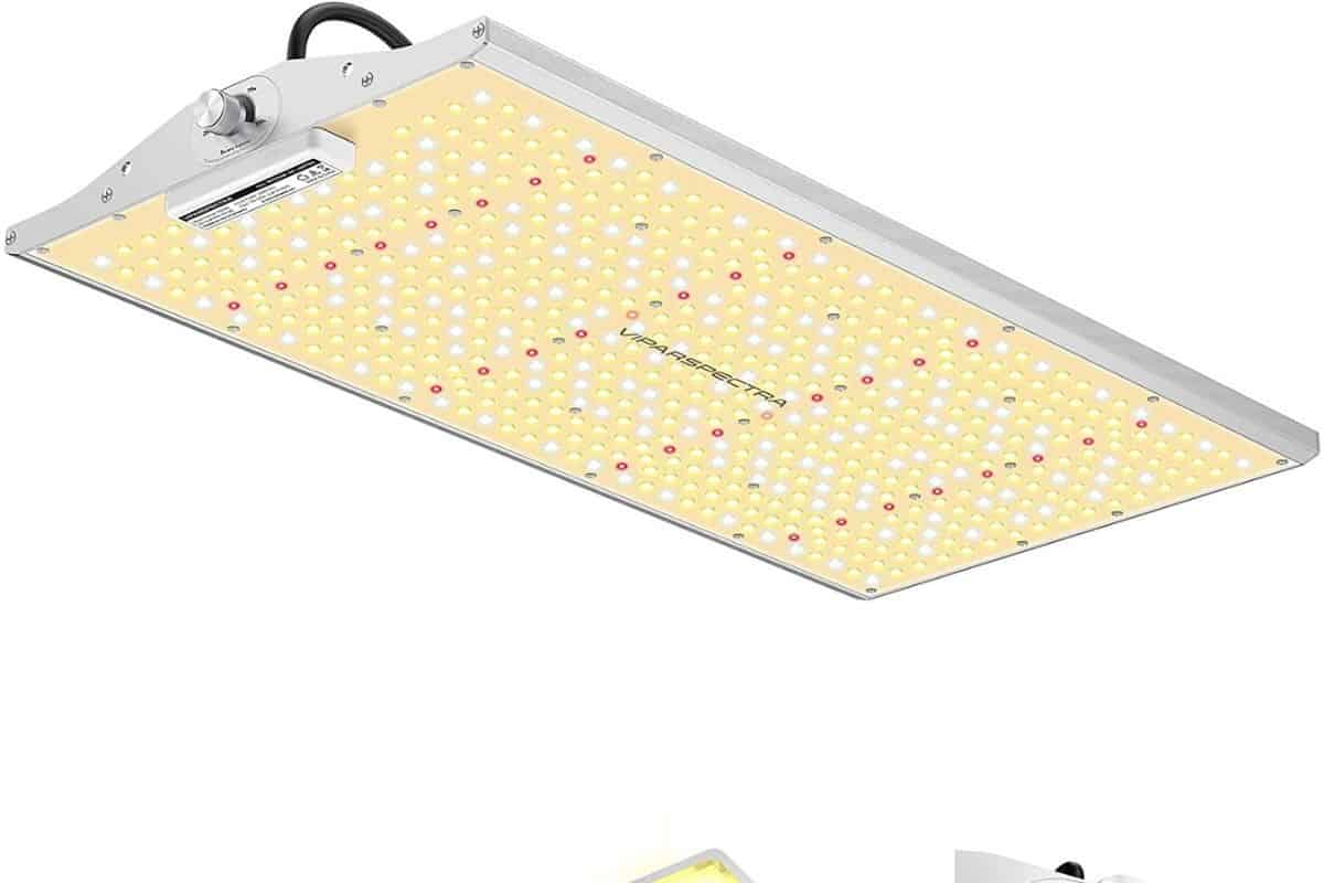 Vipa spectra led light on white background.