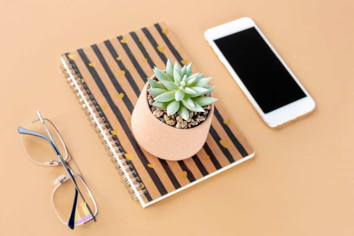 Smart phone, succulent in pot and glasses on the brown table.