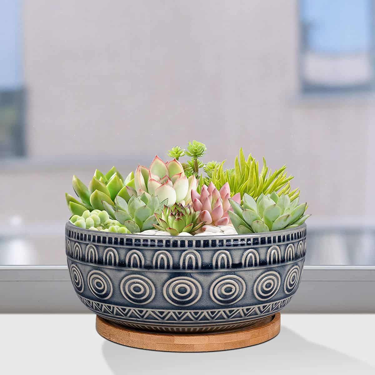 Eightpot 8 Inch Ceramic Succulent Planter