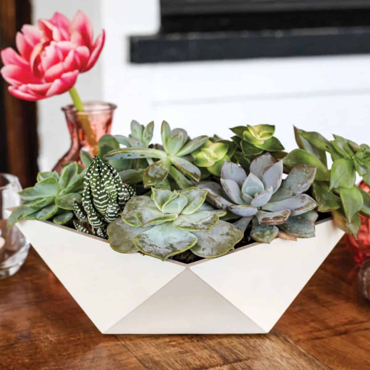 Planet Desert’s Faceted Deco Bowl