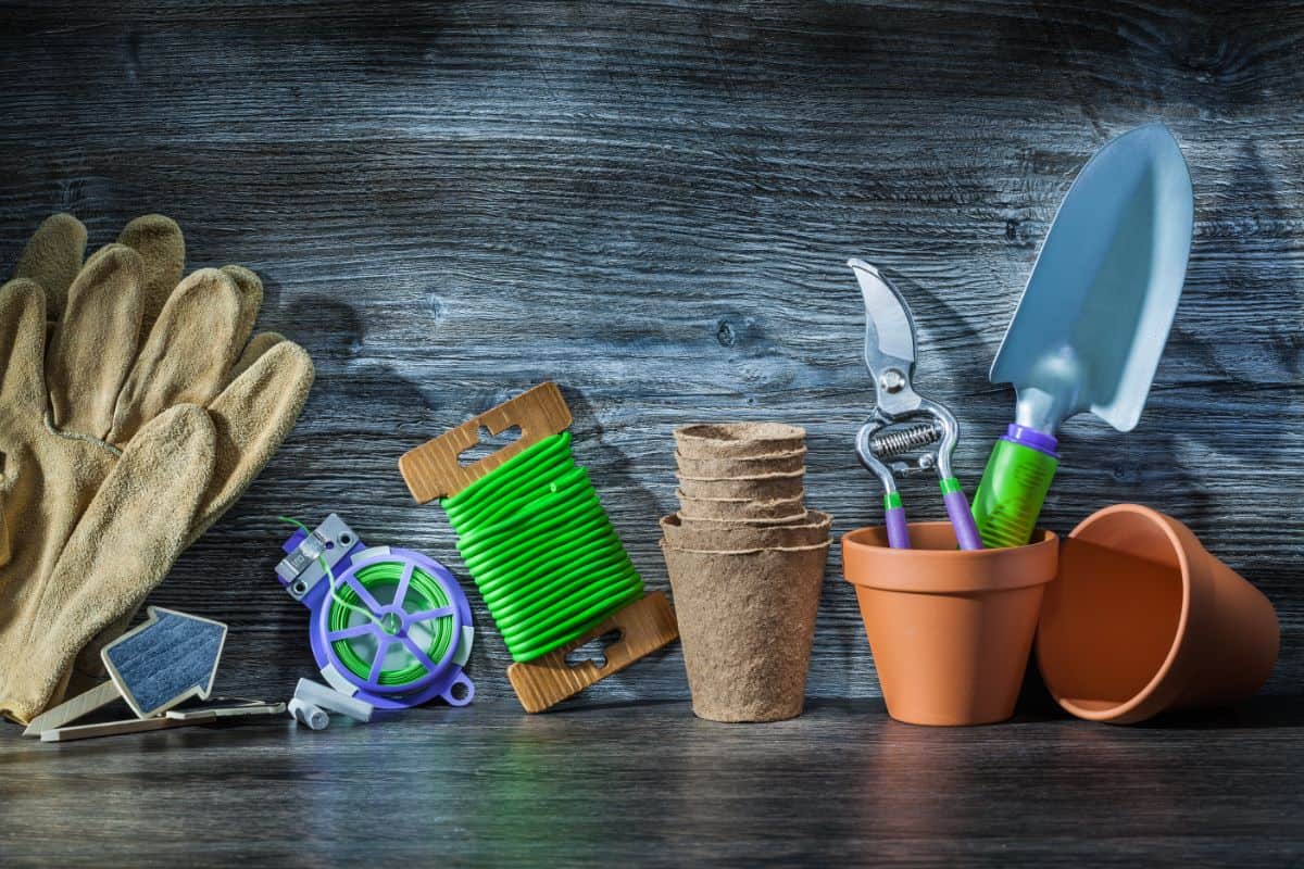 Gardening tools on a wooden table.