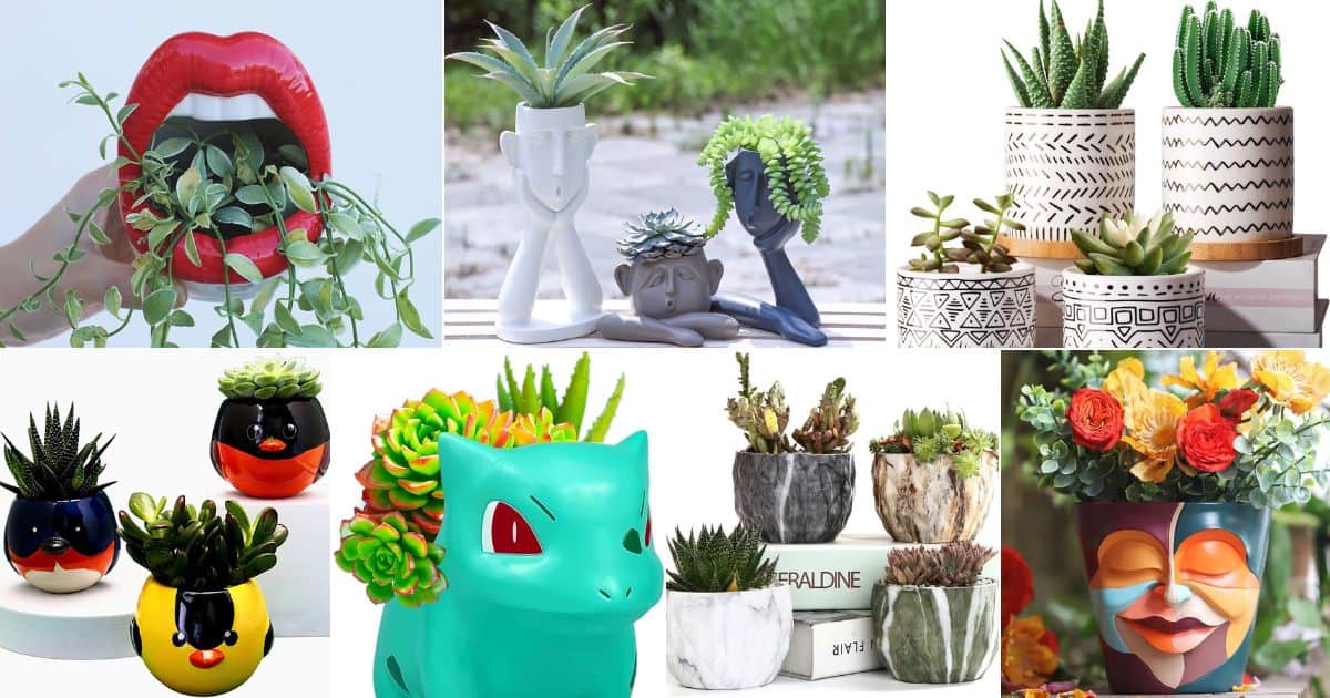 Best Succulent Pots for All Styles in 2023: Our Top 30! facebook image.